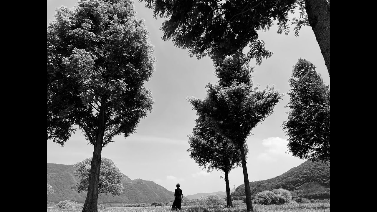 What is an artist's body? YouTube