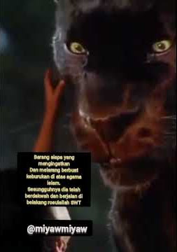 story wa macan kumbang. nasehat