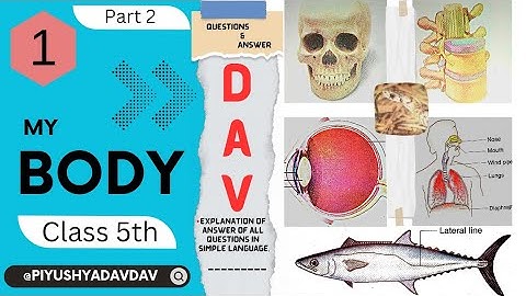 My Body | DAV Class 5 Science Chapter 1 Question Answer Explanation | Part 2 | Piyush Yadav DAV