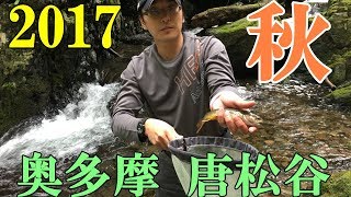 【源流キャンプ】2017年秋！奥多摩唐松谷キャンプ釣行！①