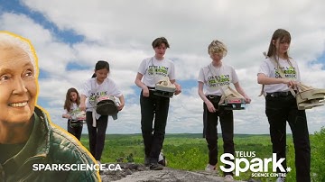 Bugs & Bytes - Summer @ Spark 2024