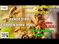 04.05.20г. Z-рация,канал &quot;Творческое пчеловодство&quot; После эфирное общение: Технология содержания пчел