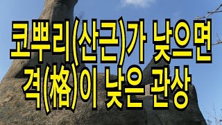 코뿌리(산근)가 낮으면 격이 낮은 관상