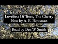 Loveliest Of Trees, The Cherry Now by A. E. Housman (read by Ben W Smith)
