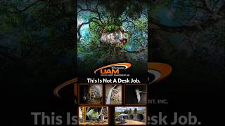 Help Wanted Macon Georgia Area