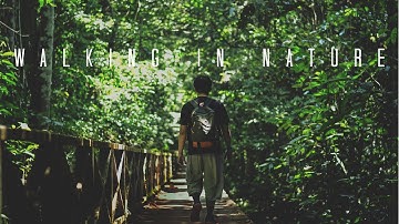 Walking in Nature - Miri, Sarawak