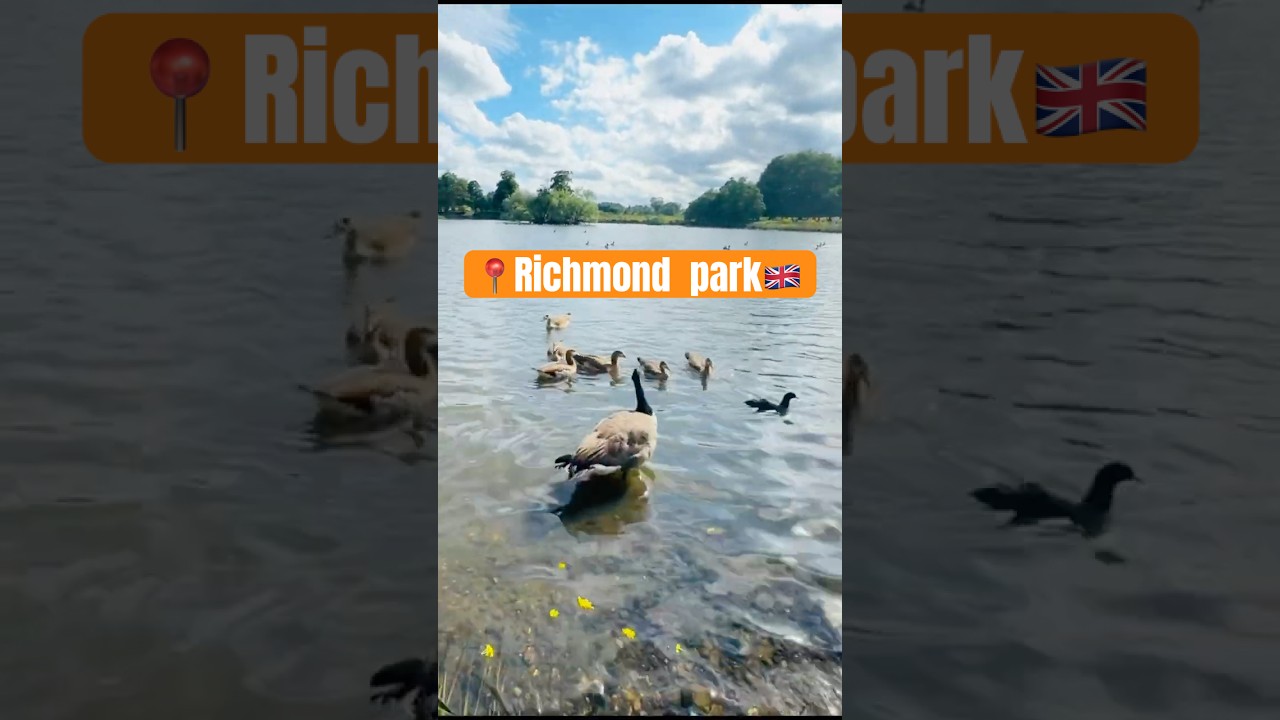 Richmond park❤️ | Best destination to hike 