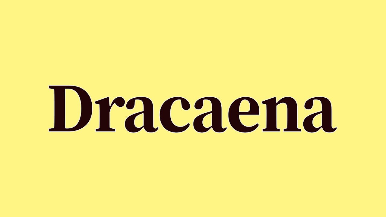 Dracaena Pronunciation and Meaning