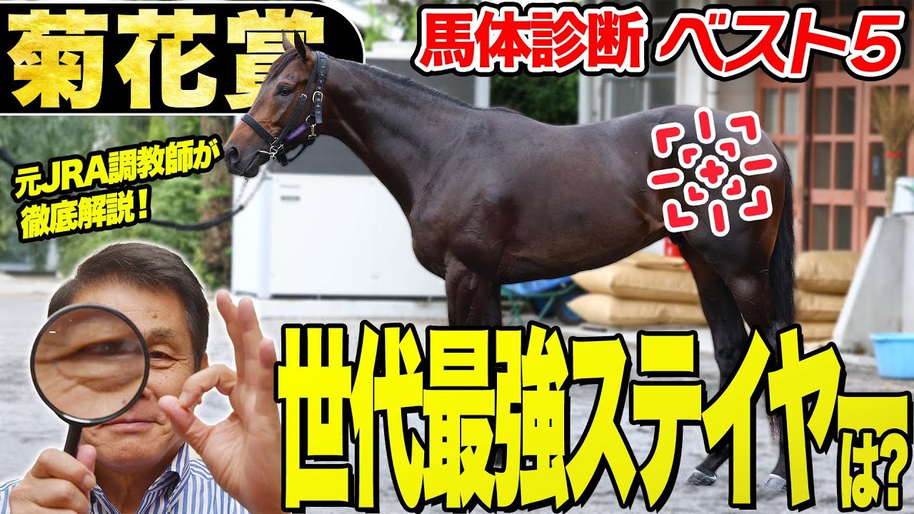 菊花賞2025】中村均元調教師が馬体診断ベスト5を発表 未知の距離を