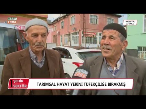 1 ŞEHİR 1 SEKTÖR - ÜZÜMLÜ (KONYA)