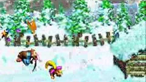 DKC3 Skidda