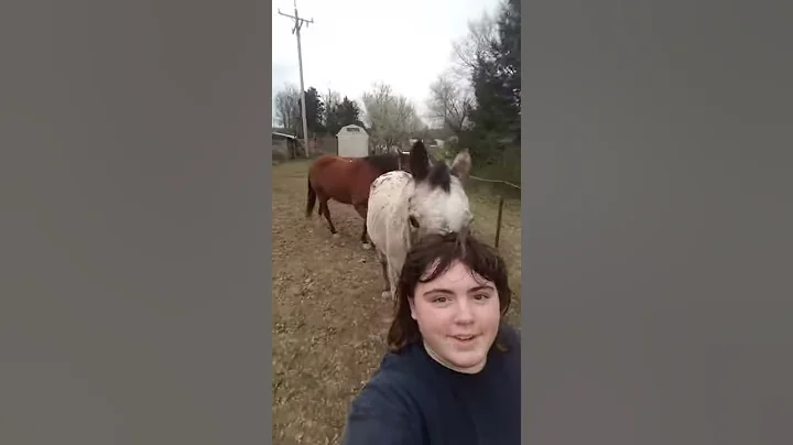 Just a short free lounging clip