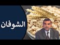 فوائد الشوفان / للقولون، للكولسترول وللسكري + طريقة تحضيره / د. محمد الفايد / نخل ورمان