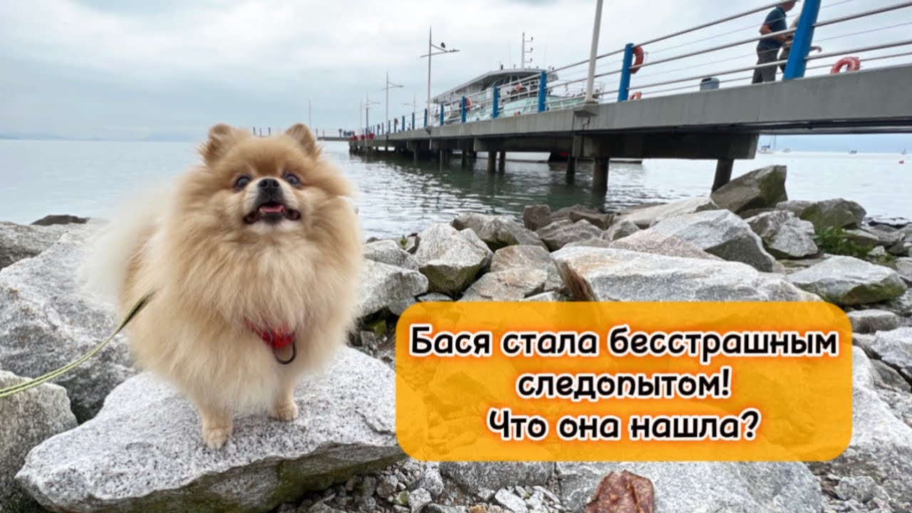Бася стала бесстрашным следопытом! Что она нашла? - YouTube