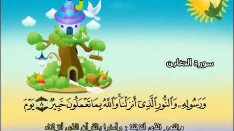 064 سورة التغابن المصحف المعلم محمد المنشاوي
