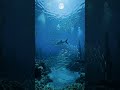 La Luna y la Pesca #pescazone