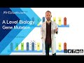 Gene Mutations and Their Impact on Organisms and Evolution