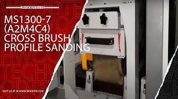 WOODTECH - MS1300-7 (A2M4C4) - CROSS BRUSH PROFILE SANDING MACHINE #woodtechchannel #factoryshorts