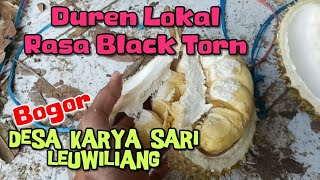 Sepintas mirip black thorn duren lokalnya 