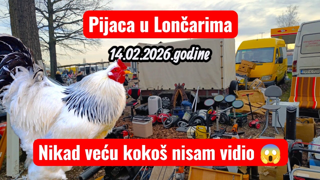 RAJ ZA LJUBITELJE PIJACA! Lončari su nešto posebno
