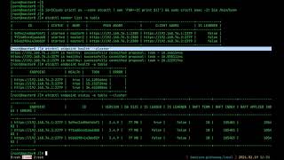在 OpenShift 4.6 上檢測 etcd 叢集健康狀態 / Healthcheck etcd cluster on OpenShift 4.6