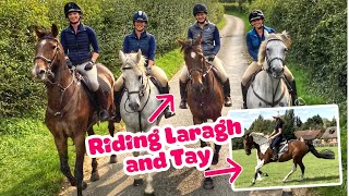 PONY ADVENTURES IN NORFOLK ~ Riding new horses and living it large with Tina, Lucy and Em