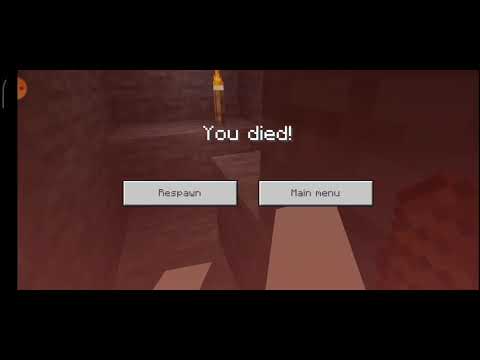 Minecraft #8 wtf...კვერცხები ფეთქდება