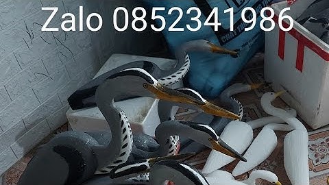 diệc xôp . cò trắng. cò bợ . còng cọc . vạc xốp zalo 0852341986 chim chân hương . chimbte te