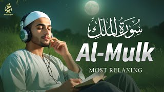 Inner Peace and relaxation in Surah Mulk - سورة الملك Recitation | TOUCHING VOICE | WQ