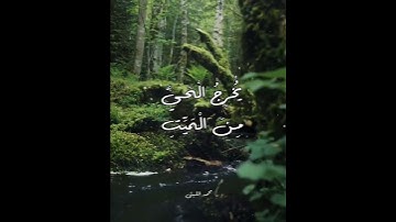 الشيخ محمد الليثي سورة الأنعام