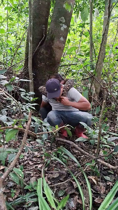 The girl is sleeping soundly in the forest.p2920250713 152636~2