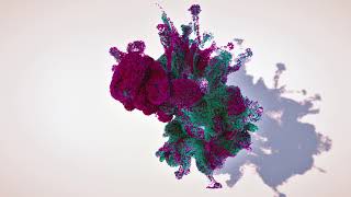 Schroedinger's Smoke - OctaneVR