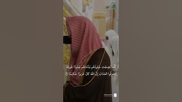 مقتطف من تلاوة فضيلة الشيخ #عبدالله_البعيجان من فجر 7 ربيع الآخر 1447هـ