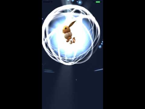 【ポケモンGO】検証イーブイ進化先変更