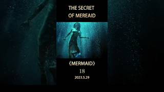 Why Do Mermaid Hate Humans