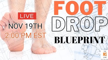 LIVE Foot Drop Workshop Designed For Individuals With Higher Mobility