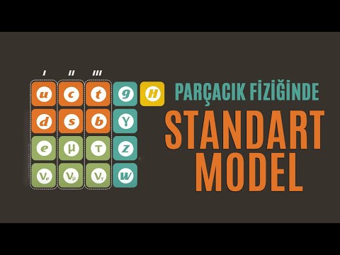 Parçacık Fiziğinde Standart Model | Popular Science Türkiye