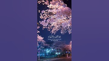 أرح قلبك و سمعك 😌 "وإذا ذكر الله وحده اشمأزت قلوب الذين لا يؤمنون بالأخرة" القارئ ياسر الدوسري