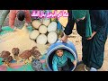 زهقنا منها 🙍‍♀️حطناها فى البرميل🛢 وخير 🥚🥚الفراخ 🐓🐔ظهر فى الجنينه