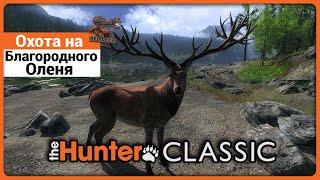 Охота на Благородного Оленя в theHunter Classic !