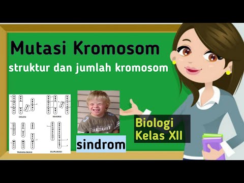 Video: Mengapakah kromosom tambahan atau hilang akan mengakibatkan fenotip yang tidak normal?