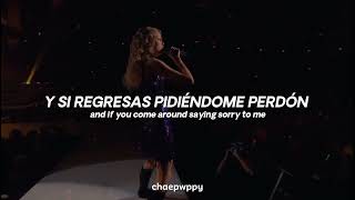 Picture To Burn - Taylor Swift (sub español) (original version)