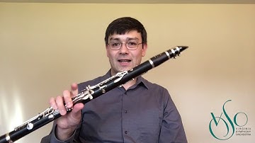 VSO Music Learning Lab – Virtual Petting Zoo: Clarinet