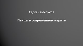 Птицы на иврите