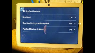 Blue Steel On Google Nest Hub Max - That Is Issuing Commands Google Assistant Without Hey Google