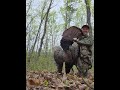 Va public land turkey