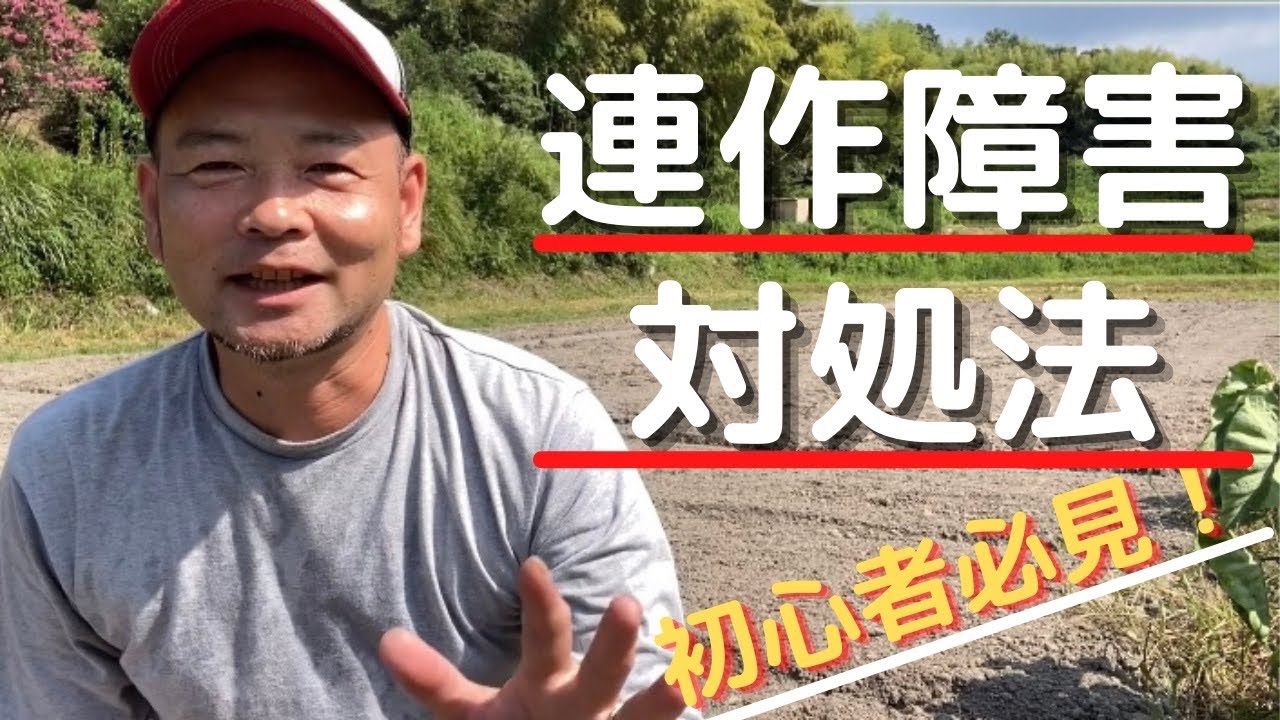 連作障害の対処法5選【初心者必見】