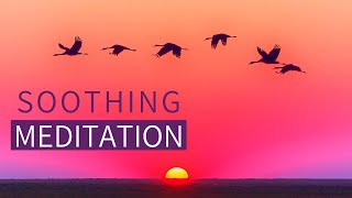 Guided Meditation for Calming ANXIETY  Meditation for Calming the Mind