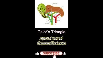 How to Identify and Locate Calot