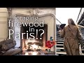 🪵 Urban foraging firewood | Everyday life in Paris